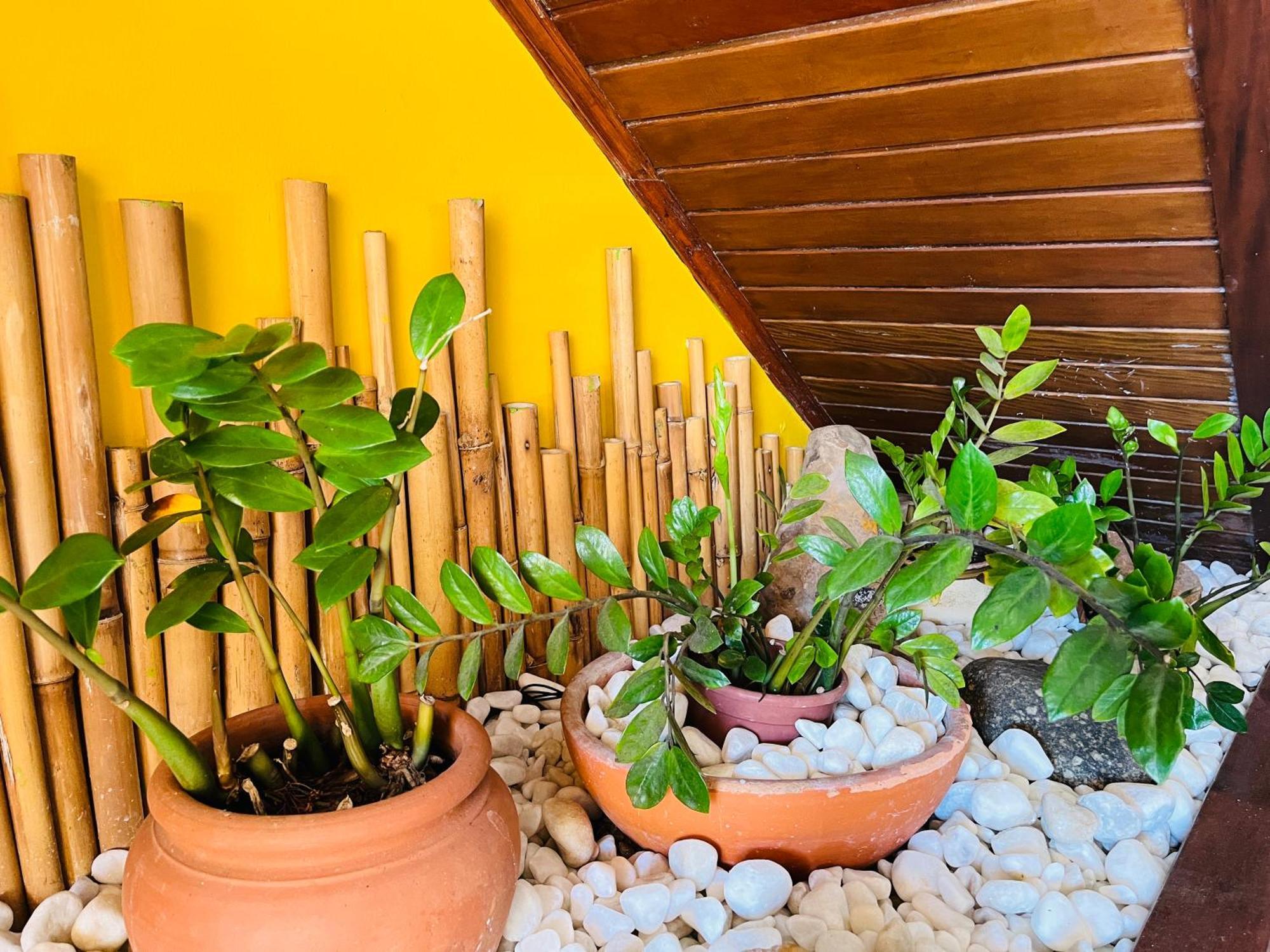 Pousada Canto Dos Golfinhos Ubatuba Exterior foto